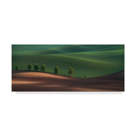 Peter Svoboda 'Alley Green Trees' Canvas Art,8x19